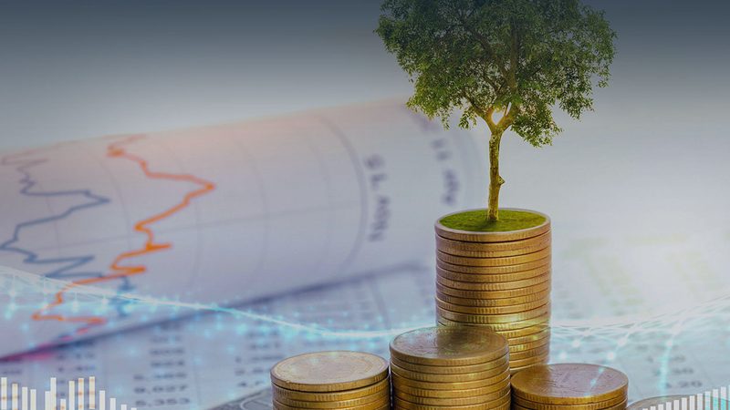 股权动态调整机制设计方案：构建企业长效激励基石**